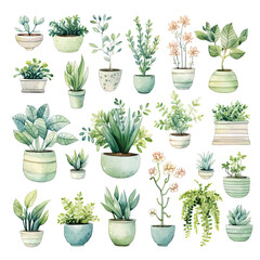 Set of plants in pots. Watercolor illustration of green plants on a white background.