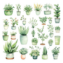 Set of plants in pots. Watercolor illustration of green plants on a white background.