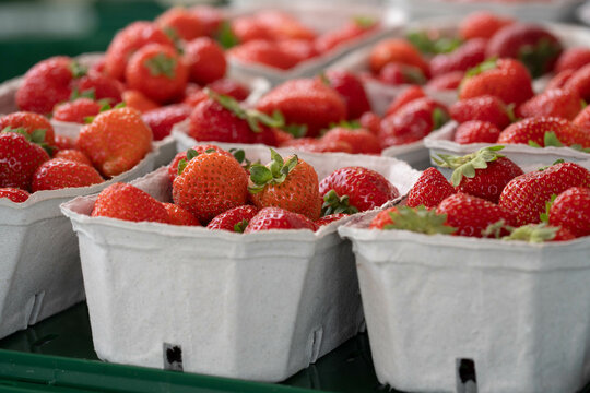 Erdbeeren in einer Pappschale auf einem Wochenmarkt