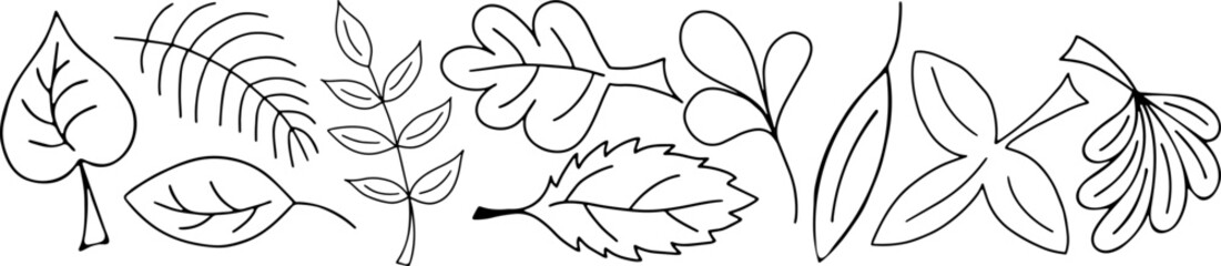 Vector Set of Black and White Doodle Leaves.
