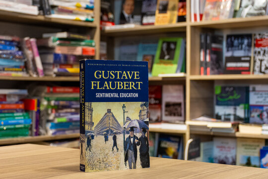 Close up Gustave Flaubert's Sentimental Education novel in the bookstore. 