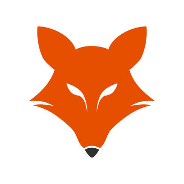fox head vector logo template
