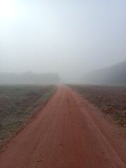 road in the fog