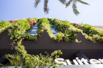 Biophilic Design: vertical green