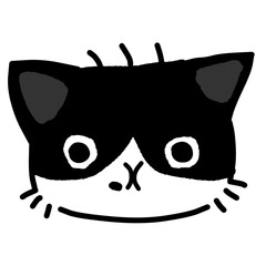 black cat with a smile