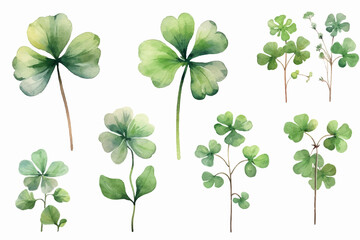 Lucky clover leaves with four leaf. Patricks day watercolor clipart