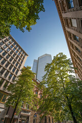 Fototapeta premium Skyline Frankfurt am Main