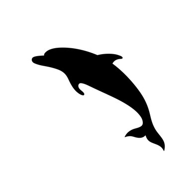 Vector isolated one single swimming or jumping dolpin side view colorless black and white outline silhouette shadow shape