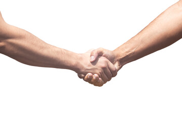 agreement, a handshake of men, a grain deal