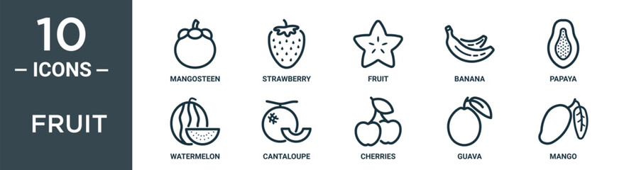 fruit outline icon set includes thin line mangosteen, strawberry, fruit, banana, papaya, watermelon, cantaloupe icons for report, presentation, diagram, web design