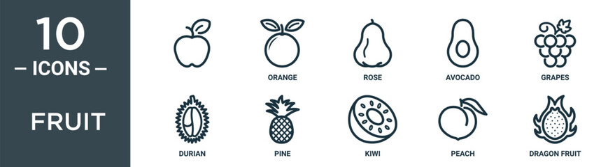 fruit outline icon set includes thin line , orange, rose, avocado, grapes, durian, pine icons for report, presentation, diagram, web design