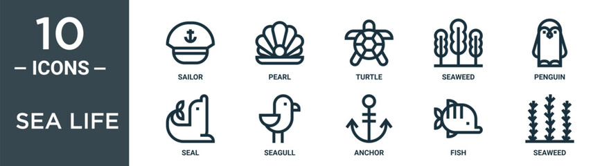 sea life outline icon set includes thin line sailor, pearl, turtle, seaweed, penguin, seal, seagull icons for report, presentation, diagram, web design