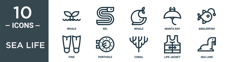 sea life outline icon set includes thin line whale, eel, whale, manta ray, anglerfish, fins, porthole icons for report, presentation, diagram, web design