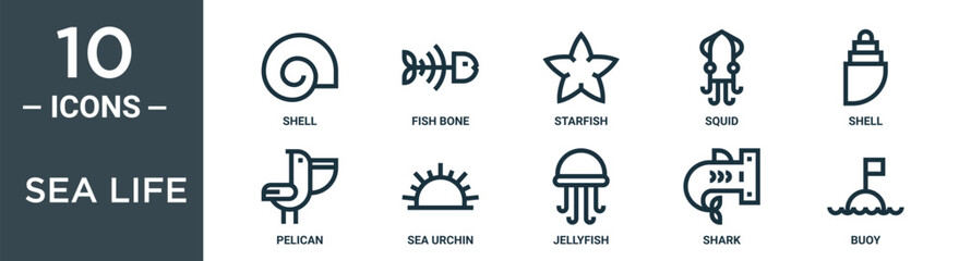 sea life outline icon set includes thin line shell, fish bone, starfish, squid, shell, pelican, sea urchin icons for report, presentation, diagram, web design