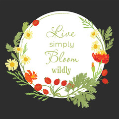 Vector garden illustration with the delicate herbs