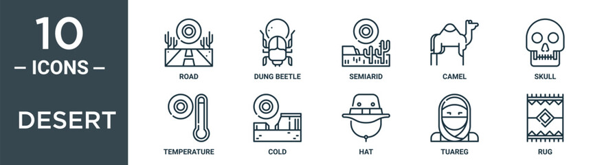 desert outline icon set includes thin line road, dung beetle, semiarid, camel, skull, temperature, cold icons for report, presentation, diagram, web design