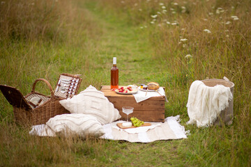 Beautiful summer picnic with strawberries, cheese and rose wine on the lawn