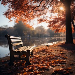 bench in a park at sunset