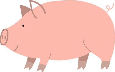 Pig illustration 