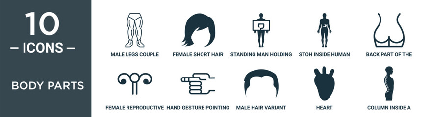 body parts outline icon set includes thin line male legs couple, female short hair variant, standing man holding a large intestines image, stoh inside human body, back part of the body showing butt