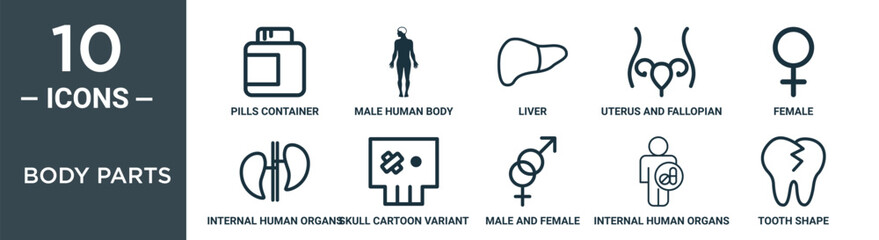 Obraz premium body parts outline icon set includes thin line pills container, male human body, liver, uterus and fallopian tube inside woman body, female, internal human organs couple, skull cartoon variant with