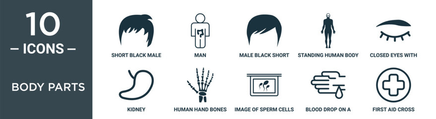 body parts outline icon set includes thin line short black male hair shape, man, male black short hair shape, standing human body shape, closed eyes with lashes and brows, kidney, human hand bones