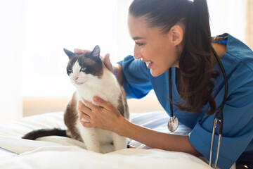 Veterinarian Examining And Comforting Cat During Appointment At Veterinary Clinic