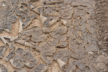 Dry ground. Dry period. Close up of dry ground