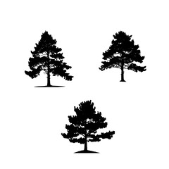 Vector set of pine tree illustrations. Graphic elements for nature themed design. black icon of trees isolated on white background.