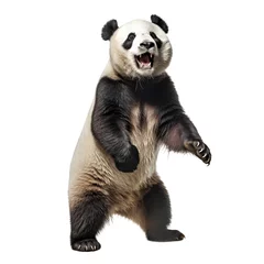 Foto op Plexiglas panda isolated on white background © PawsomeStocks