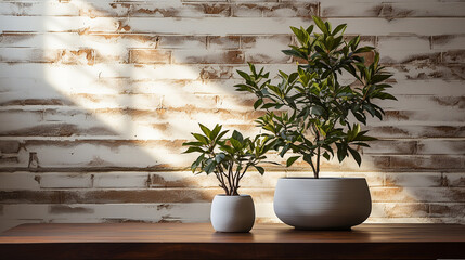 minimalist scene of a white brick wall and a green plant, the simplicity and respect for nature, Generative AI