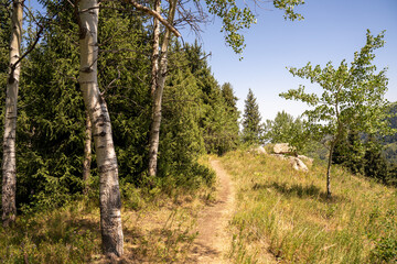 Fototapeta premium Mountain paths and views of the surroundings of the Almaty region, Kazakhstan. Pasture and plains, forests and open spaces