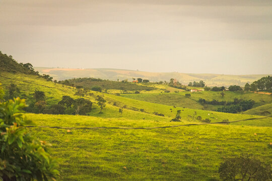 Campo na parte alta da Serra da Canastra, em Minas Gerais, Brasil