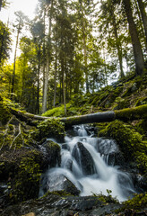 Fototapeta na wymiar Mystical waterfall in the Black Forest, Germany