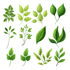 Set of tropical vector leaves. Variety. Ornamental plants. White background ,Generative AI