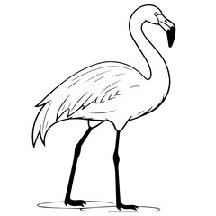 Flamingo chick flat vector illustration isolated on white background