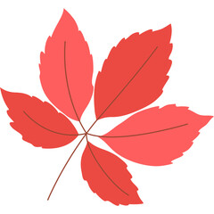 autumn leaf flat illustration for decoration, website, web, mobile app, printing, banner, logo, poster design, etc.