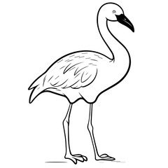Flamingo chick flat vector illustration isolated on white background