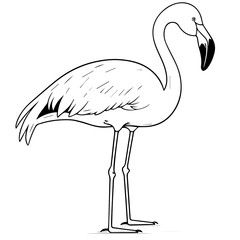 Obraz premium Flamingo chick flat vector illustration isolated on white background