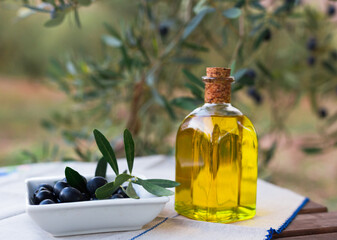 olive oil in a glass bottle and green olives on the background of olive branches in the garden