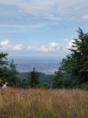 Obraz premium lake and mountains