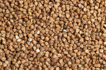 A large amount of roasted buckwheat harvest