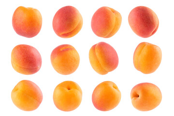 Ripe orange apricot with pink side - rich collection, whole fruit, different sides isolated on white background. Summer fresh juicy fruits as design elements.