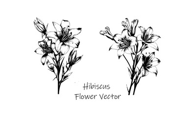 Vector black silhouettes of flowers isolated on a white background.