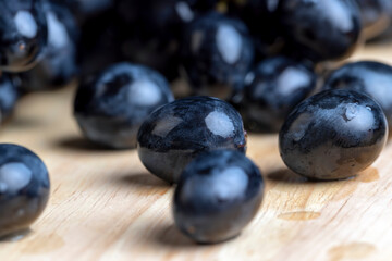Blue grapes grown in a home vineyard
