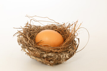 Bird eggs in the nest. On white background.