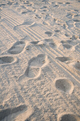 Fototapeta na wymiar The background of a sandy beach with footprints. Sand beach background