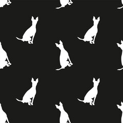 Black and white pattern with English toy terrier. Elegant, soft seamless background, abstract background. Birthday present wrapping paper. Fashion decoration.White dog silhouette on a white background