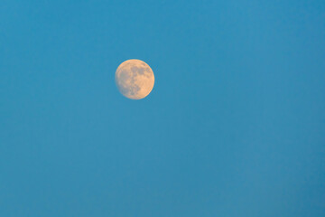 Obraz premium Glowing full Moon in to the blue sky