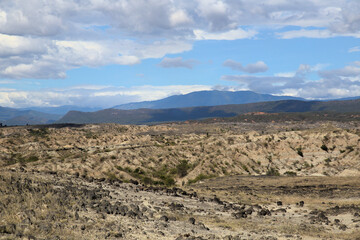 Fototapeta na wymiar Colombian Landscape in Tatacoa Desert, yellow sand